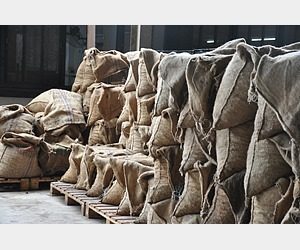 Raw cashew nuts