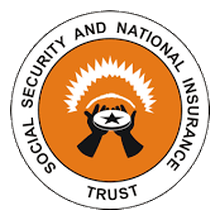 Social Security & Nat. Insurance Trust logo