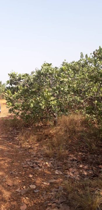 ICBC media image - Company Founder’s Farm Visit — 2023