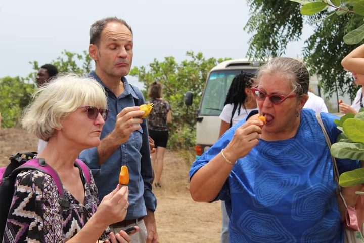 ICBC media image - GIZ Visit to Our Cashew Farm — 2023