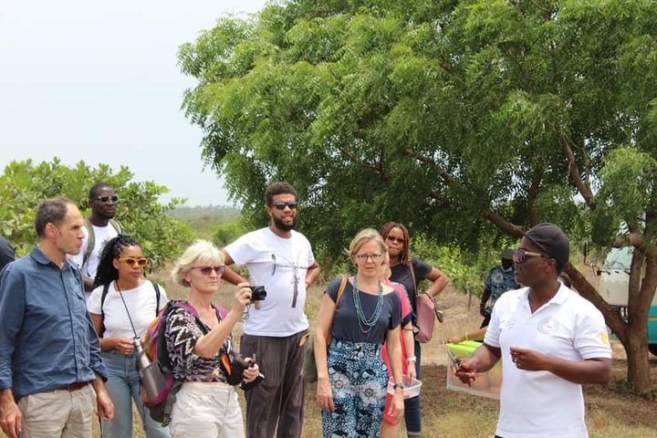 ICBC media image - GIZ Visit to Our Cashew Farm — 2023