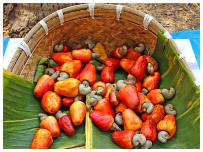 ICBC media image - Raw Cashew Nuts — 2023