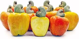 ICBC media image - Raw Cashew Nuts — 2023