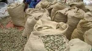 ICBC media image - Raw Cashew Nuts — 2023