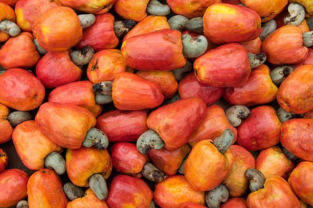 ICBC media image - Raw Cashew Nuts — 2023