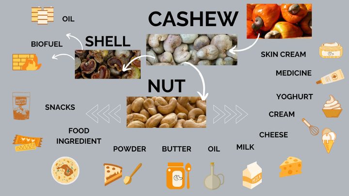 ICBC media image - Raw Cashew Nuts — 2023