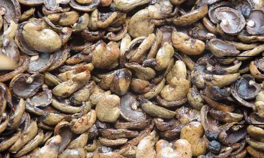 Cashew shell biomass