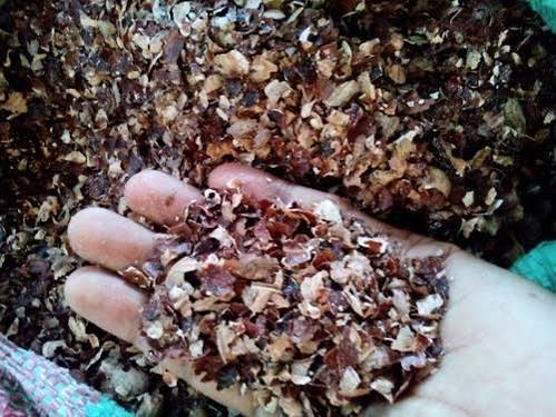 Animal Feed