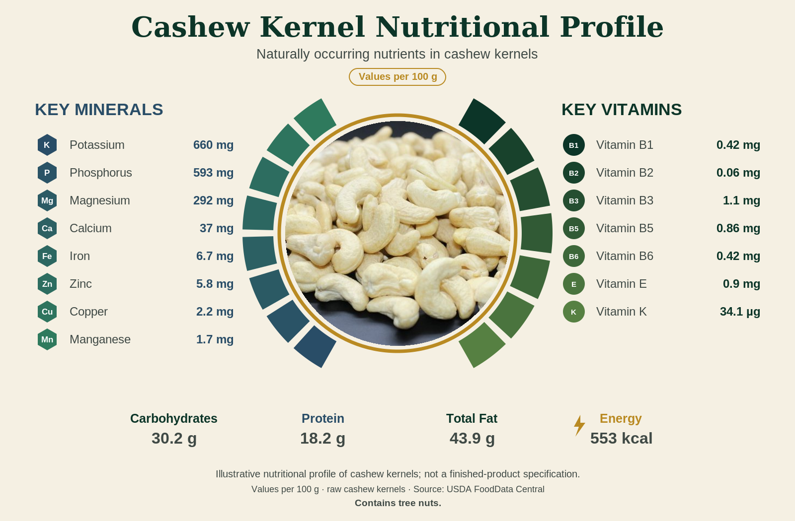 Cashew protein and nutrient profile showing plant protein, mineral profile, unsaturated fat composition and potential food applications.