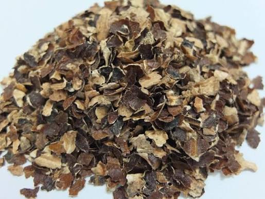 Cashew Testa