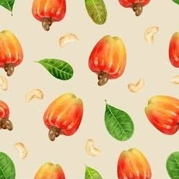 Concept illustration of cashew-derived materials for future paint and industrial applications.